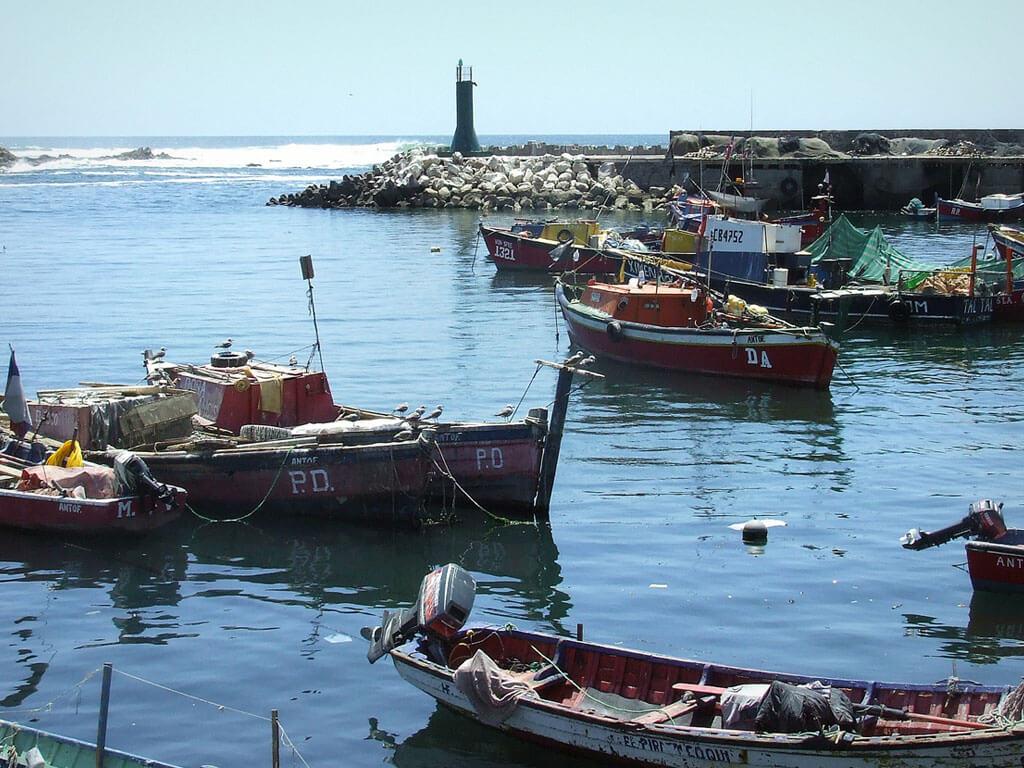 Terminal Pesquero de Antofagasta